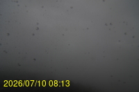 Img20260710_081350.jpg
