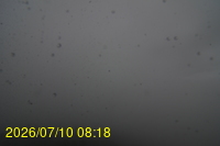 Img20260710_081850.jpg