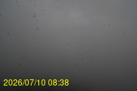 Img20260710_083850.jpg