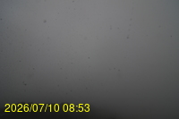 Img20260710_085350.jpg