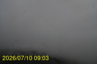Img20260710_090350.jpg