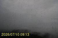 Img20260710_091350.jpg