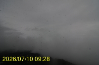 Img20260710_092850.jpg
