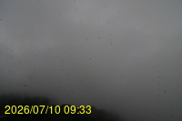 Img20260710_093350.jpg