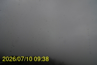 Img20260710_093851.jpg