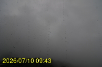 Img20260710_094351.jpg