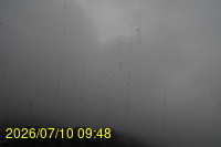 Img20260710_094851.jpg