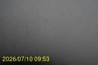 Img20260710_095351.jpg