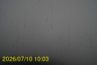 Img20260710_100351.jpg