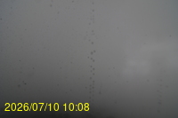 Img20260710_100851.jpg