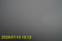 Img20260710_101351.jpg