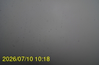 Img20260710_101851.jpg