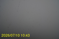Img20260710_104352.jpg