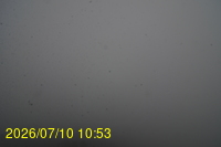 Img20260710_105352.jpg