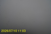 Img20260710_110352.jpg