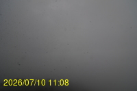 Img20260710_110852.jpg