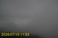 Img20260710_115352.jpg