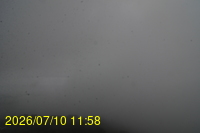 Img20260710_115852.jpg