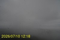 Img20260710_121852.jpg