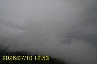 Img20260710_125352.jpg
