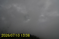Img20260710_130852.jpg
