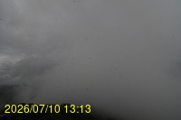 Img20260710_131352.jpg