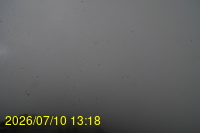 Img20260710_131852.jpg