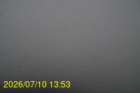 Img20260710_135352.jpg