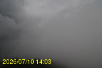 Img20260710_140352.jpg