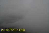 Img20260710_141352.jpg