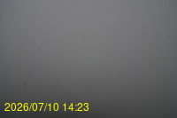 Img20260710_142352.jpg