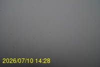 Img20260710_142852.jpg