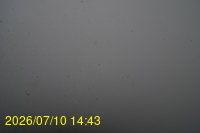 Img20260710_144352.jpg