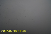 Img20260710_144852.jpg