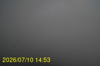 Img20260710_145352.jpg