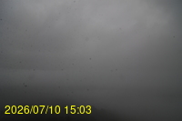 Img20260710_150352.jpg