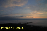 Img20260711_035854.jpg