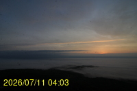 Img20260711_040354.jpg