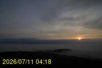 Img20260711_041854.jpg