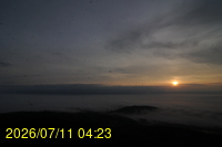 Img20260711_042354.jpg