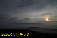Img20260711_044355.jpg