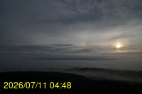 Img20260711_044855.jpg