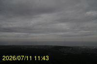 Img20260711_114356.jpg