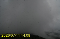 Img20260711_140856.jpg