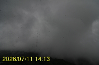 Img20260711_141356.jpg