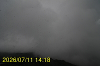 Img20260711_141856.jpg