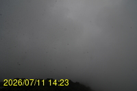 Img20260711_142356.jpg