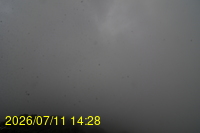Img20260711_142856.jpg
