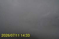 Img20260711_143356.jpg