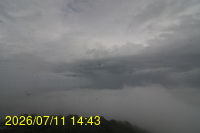 Img20260711_144356.jpg